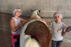 IMG-20260706-WA0010