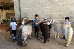 IMG-20260709-WA0011