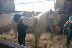 IMG-20260713-WA0000