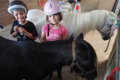 IMG-20260713-WA0005