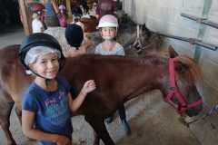 IMG-20260713-WA0006