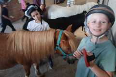 IMG-20260713-WA0007