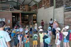 IMG-20260713-WA0010