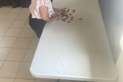 IMG_0806