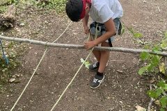 IMG_0910