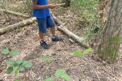 IMG_0916
