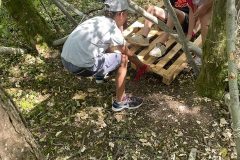 IMG_0949
